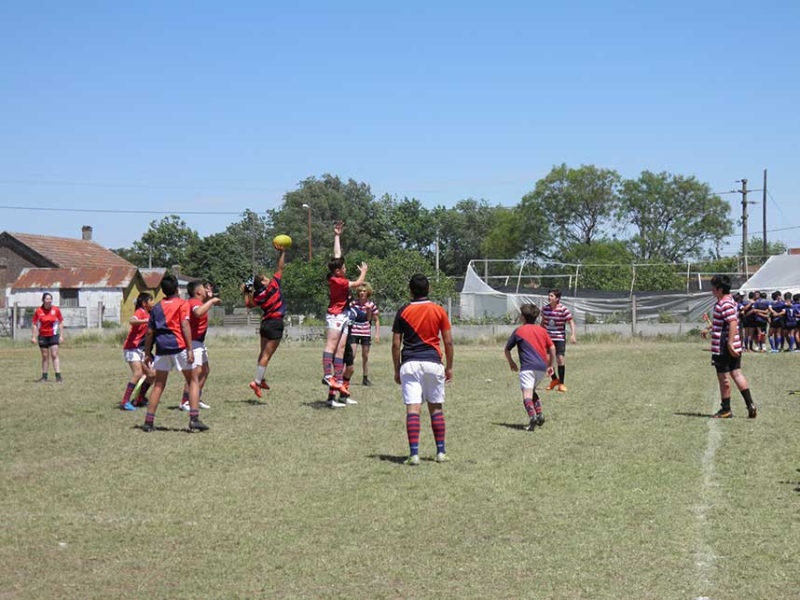 En homenaje a Mariano Subirá: Se realizó el encuentro regional de rugby infantil