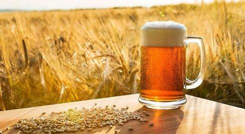 La cebada cervecera crece en exportaciones