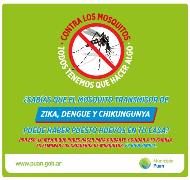 La importancia de prevenir el contagio del Dengue