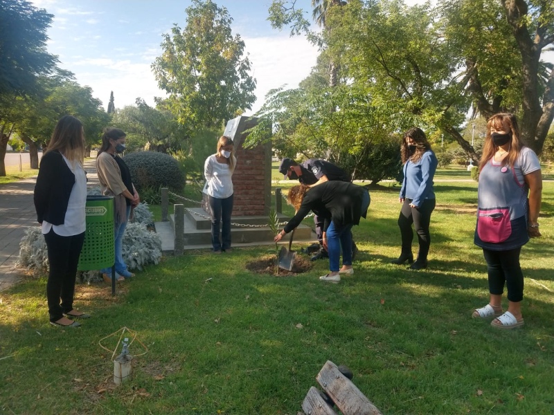 Distrito: Plantaron laureles de jardín mediante el programa "Hacemos Memoria"