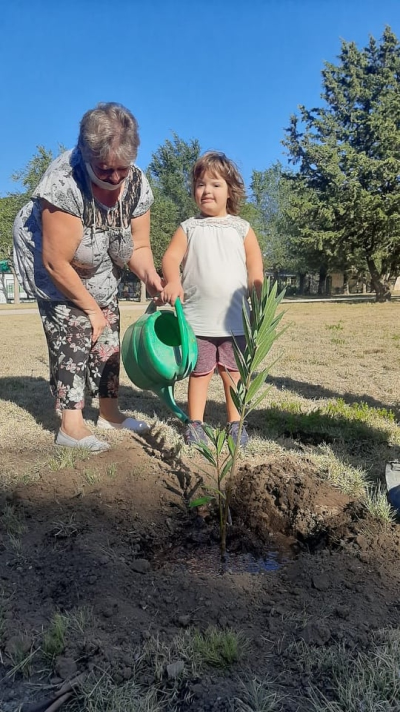 Distrito: Plantaron laureles de jardín mediante el programa "Hacemos Memoria"
