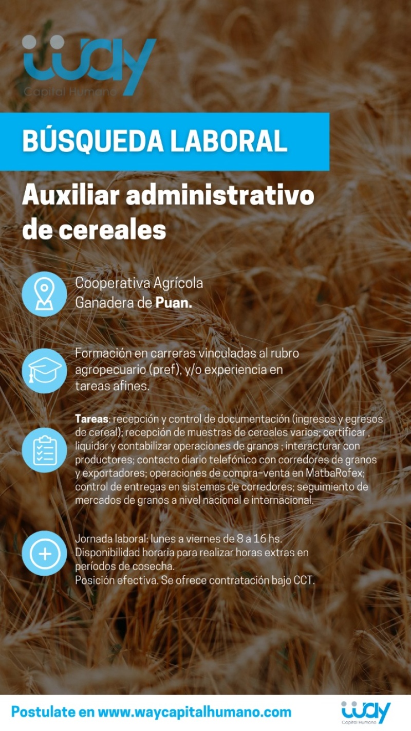 Búsqueda Laboral: Auxiliar Administrativo de Cereales