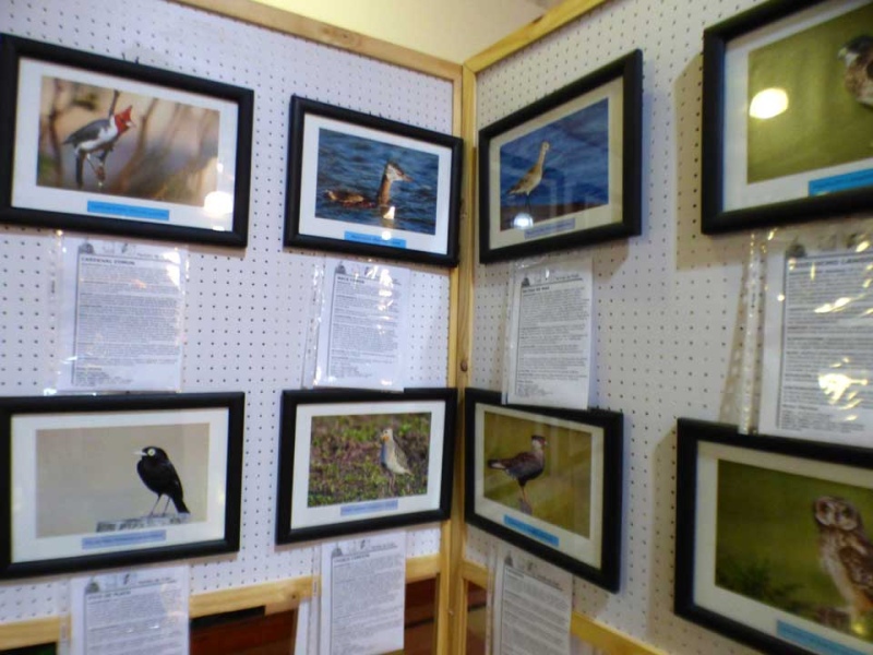 Puan fue sede del Tercer Encuentro de Observadores y Fotógrafos de aves